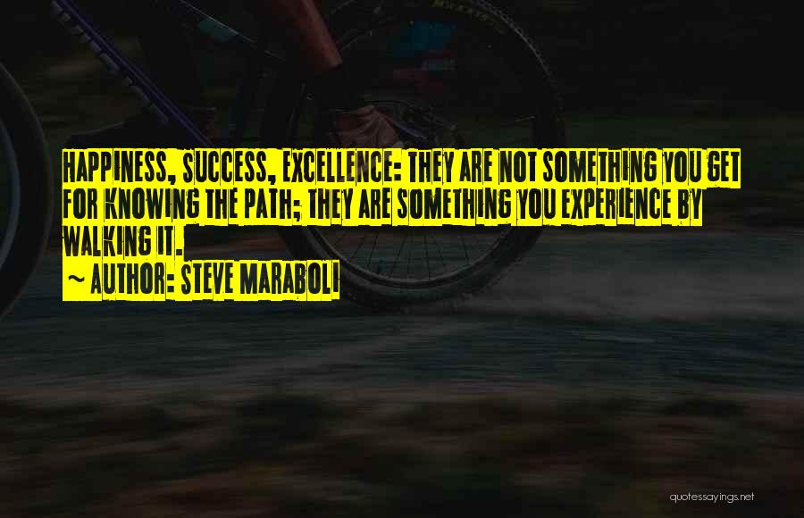 Path To Excellence Quotes By Steve Maraboli