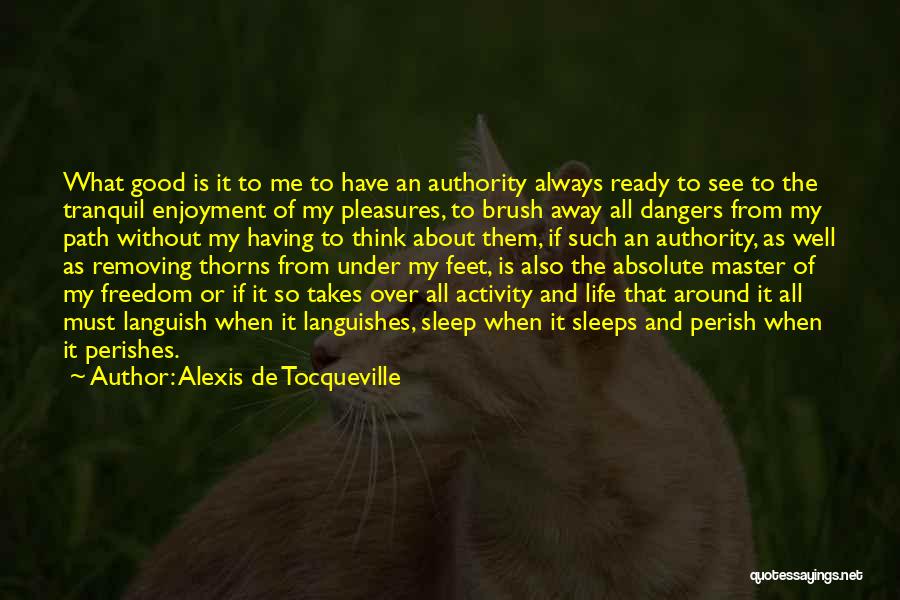 Path To Freedom Quotes By Alexis De Tocqueville