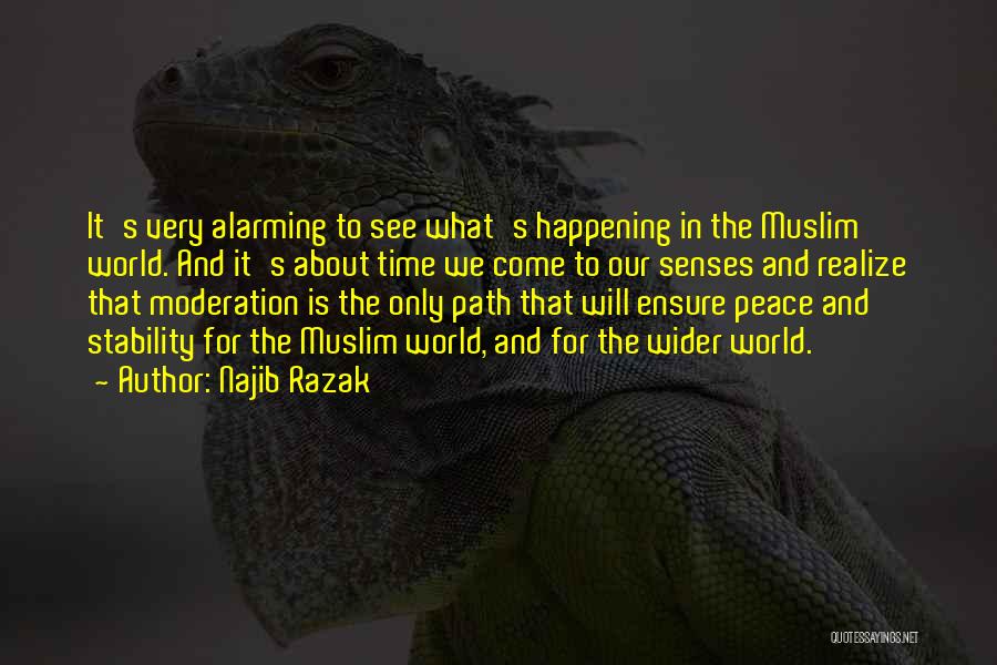 Path To Peace Quotes By Najib Razak