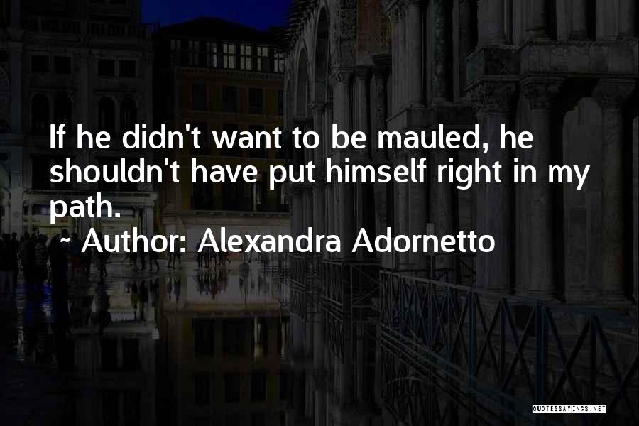 Path To Quotes By Alexandra Adornetto