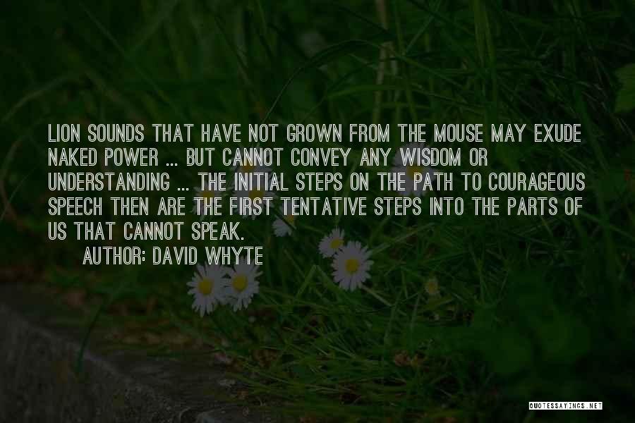 Path To Wisdom Quotes By David Whyte