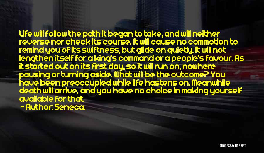 Path You Take Quotes By Seneca.