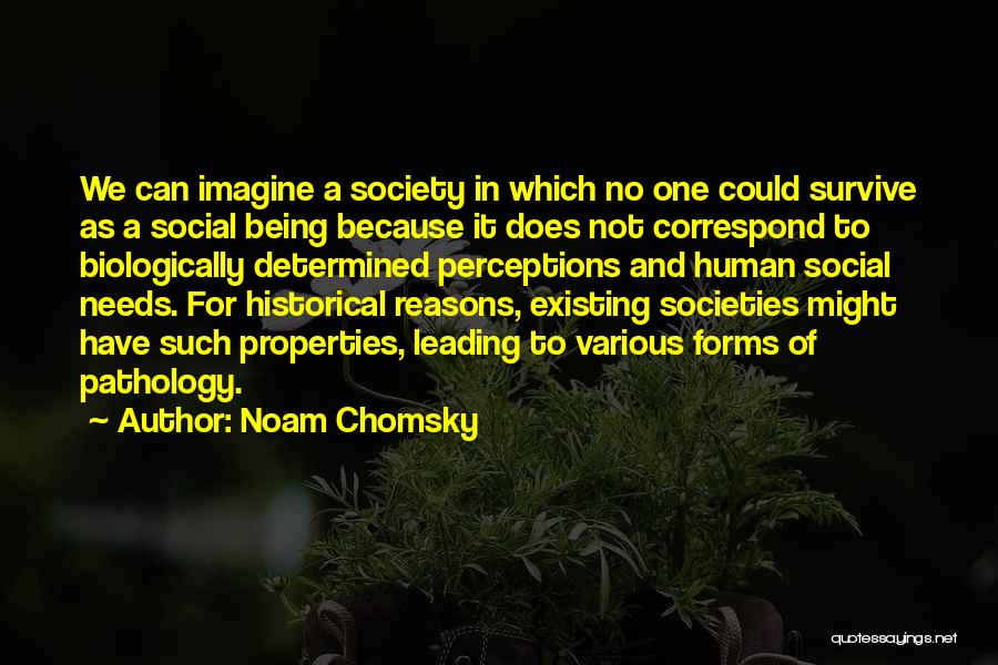 Pathology Quotes By Noam Chomsky