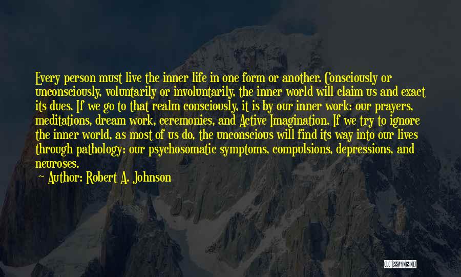 Pathology Quotes By Robert A. Johnson