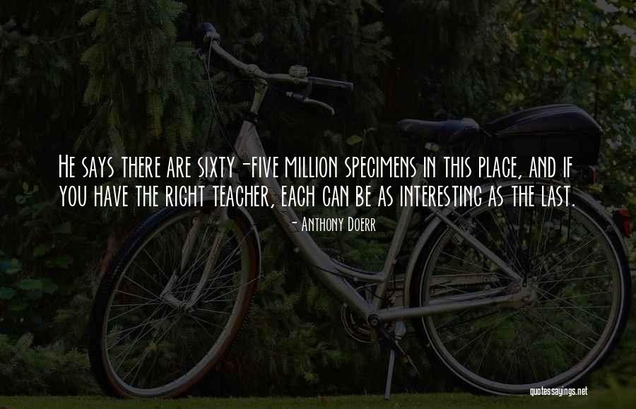 Pathos In Nickel And Dimed Quotes By Anthony Doerr Pathos In Nickel And Dimed Quotes By Anthony Doerr