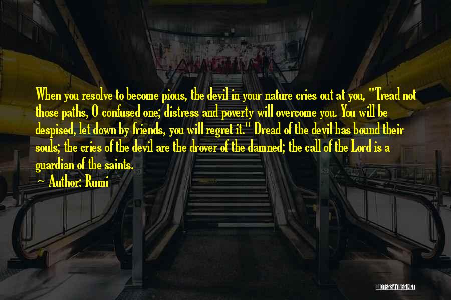 Paths And Friends Quotes By Rumi