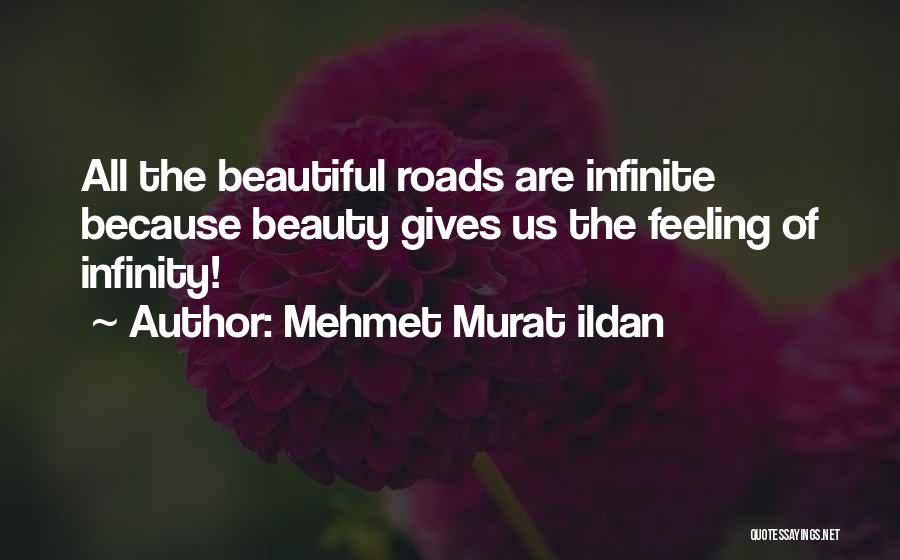 Paths And Roads Quotes By Mehmet Murat Ildan