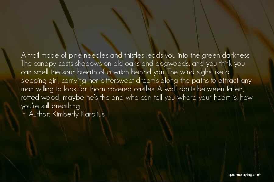 Paths In The Woods Quotes By Kimberly Karalius