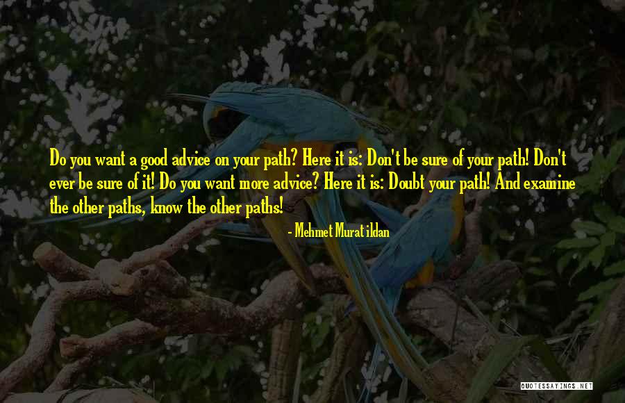 Paths Quotes Quotes By Mehmet Murat Ildan Paths Quotes Quotes By Mehmet Murat Ildan