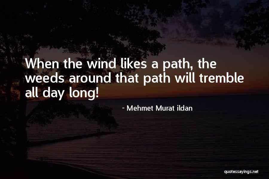 Paths Quotes Quotes By Mehmet Murat Ildan Paths Quotes Quotes By Mehmet Murat Ildan