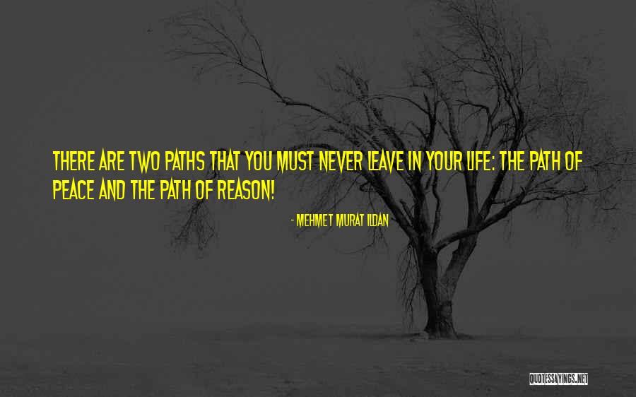 Paths Quotes Quotes By Mehmet Murat Ildan Paths Quotes Quotes By Mehmet Murat Ildan