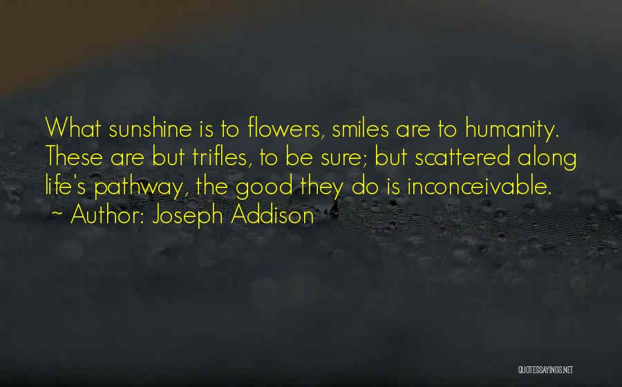 Pathway To Happiness Quotes By Joseph Addison