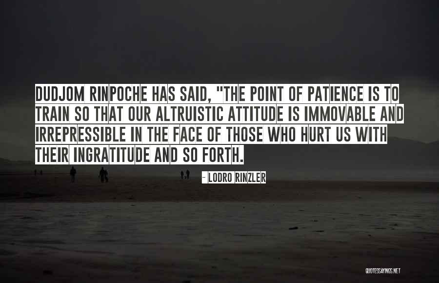 Patience And Attitude Quotes By Lodro Rinzler Patience And Attitude Quotes By Lodro Rinzler