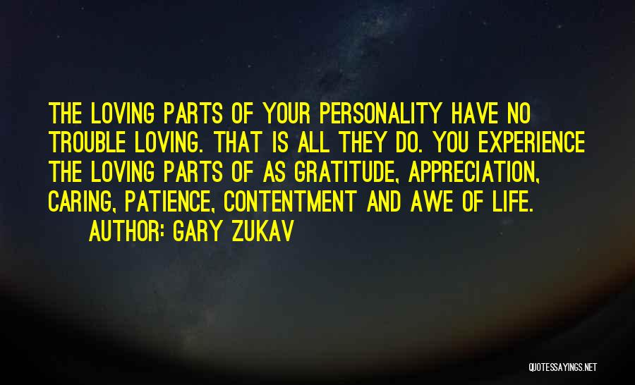 Patience And Contentment Quotes By Gary Zukav