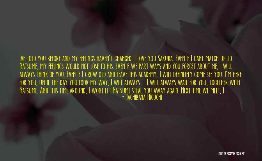 Patience And Determination Quotes By Tachibana Higuchi Patience And Determination Quotes By Tachibana Higuchi
