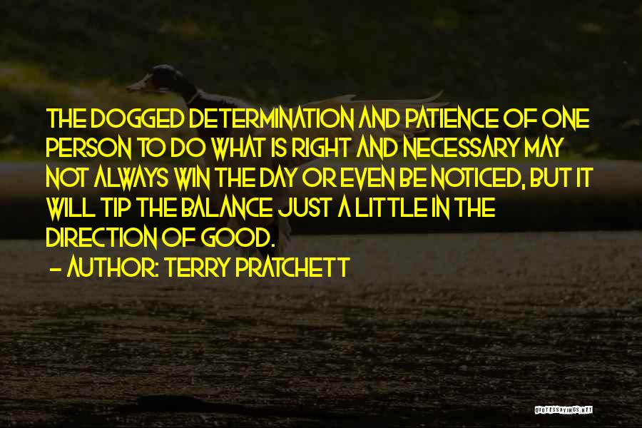Patience And Determination Quotes By Terry Pratchett
