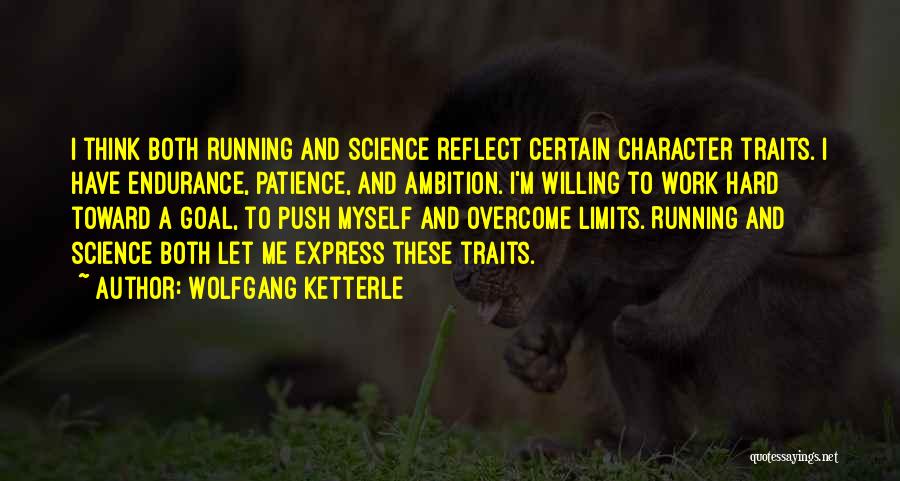 Patience And Endurance Quotes By Wolfgang Ketterle