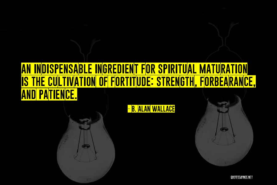 Patience And Fortitude Quotes By B. Alan Wallace Patience And Fortitude Quotes By B. Alan Wallace
