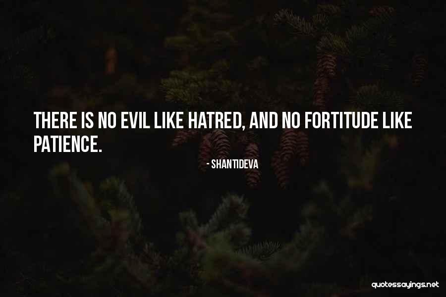 Patience And Fortitude Quotes By Shantideva Patience And Fortitude Quotes By Shantideva