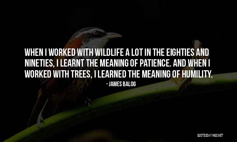 Patience And Humility Quotes By James Balog