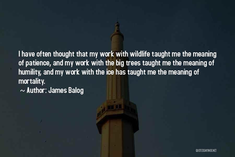 Patience And Humility Quotes By James Balog