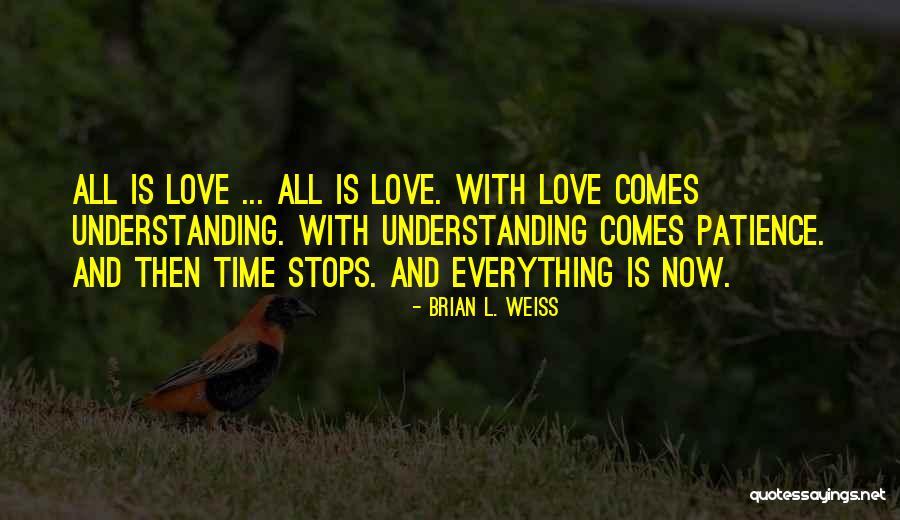 Patience And Love Quotes By Brian L. Weiss