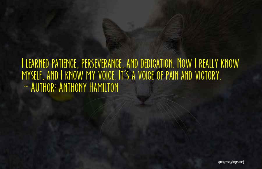 Patience And Pain Quotes By Anthony Hamilton