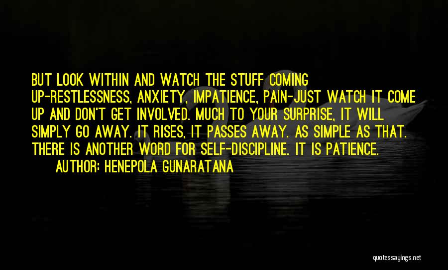 Patience And Pain Quotes By Henepola Gunaratana