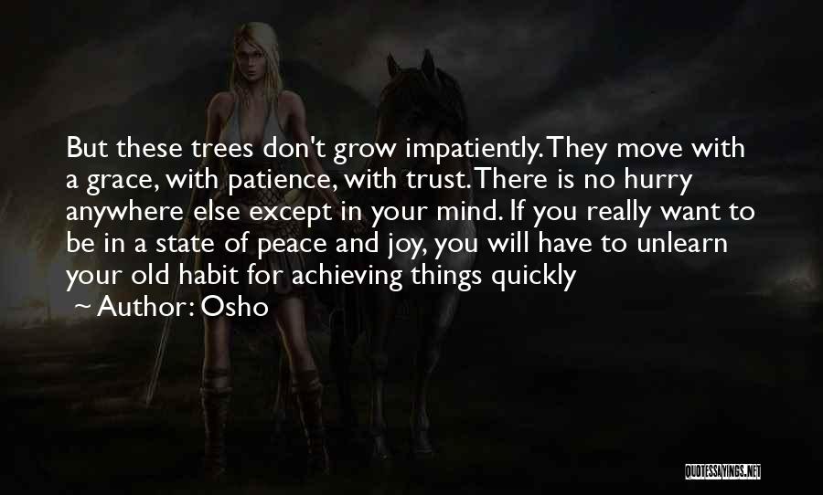 Patience And Peace Quotes By Osho