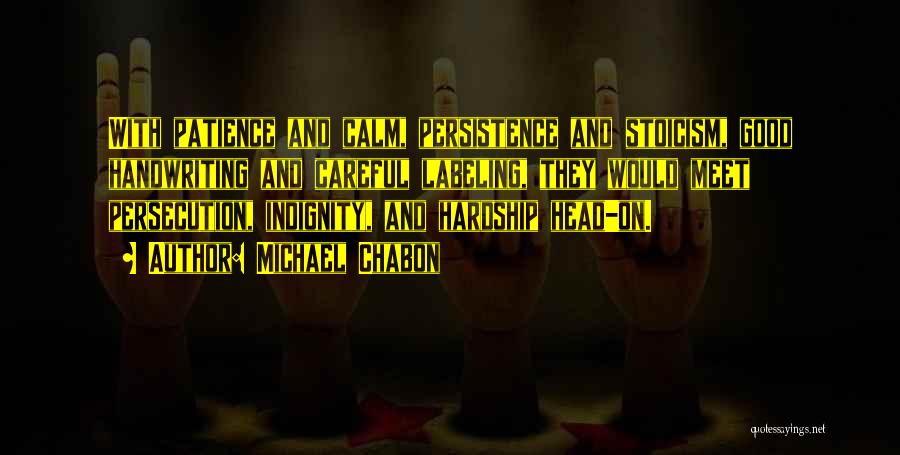 Patience And Persistence Quotes By Michael Chabon