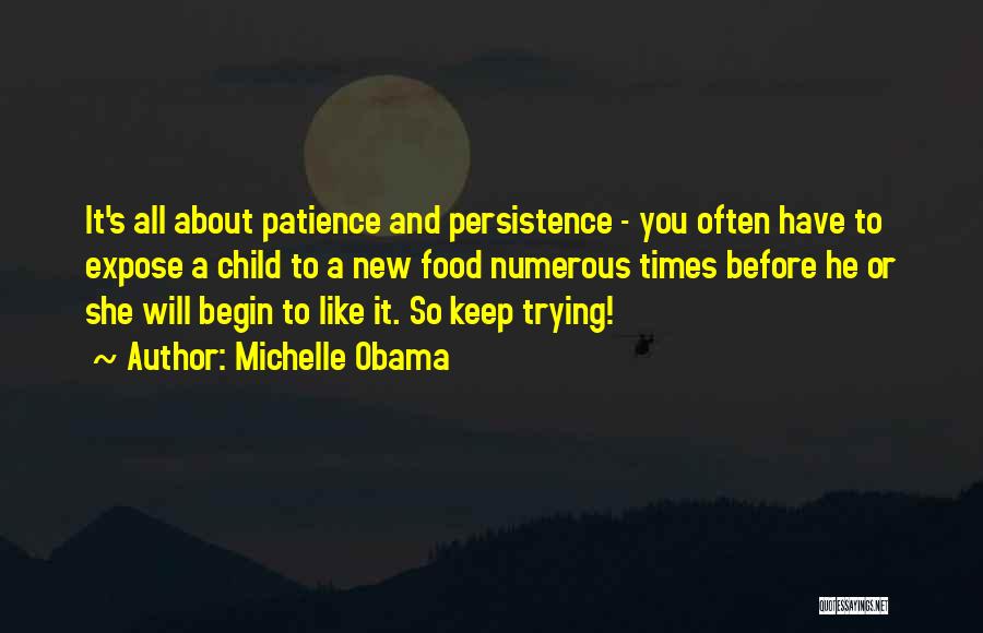 Patience And Persistence Quotes By Michelle Obama