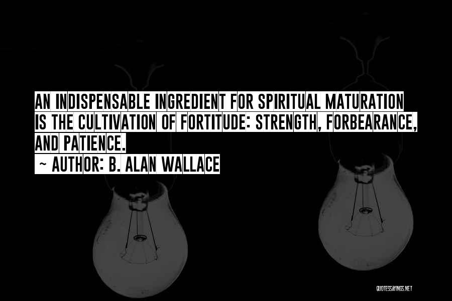 Patience And Strength Quotes By B. Alan Wallace