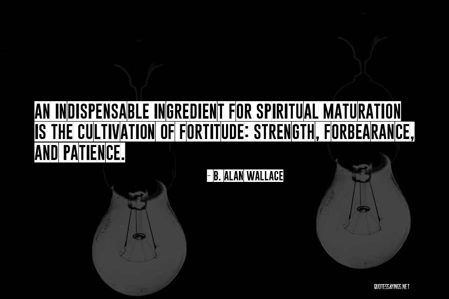 Patience And Strength Quotes By B. Alan Wallace Patience And Strength Quotes By B. Alan Wallace