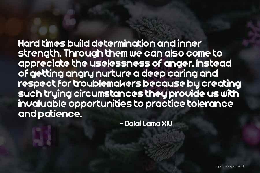 Patience And Strength Quotes By Dalai Lama XIV