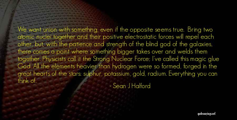 Patience And Strength Quotes By Sean J Halford