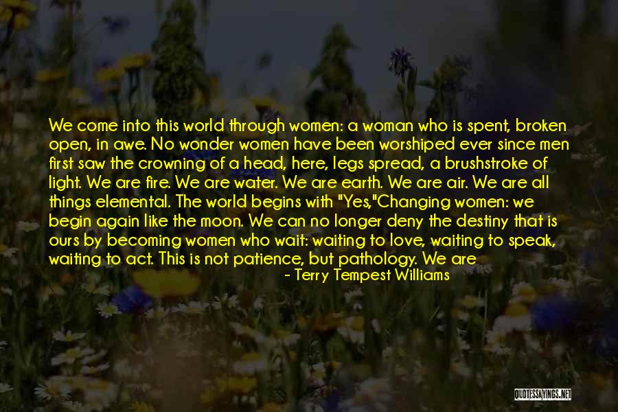 Patience And Strength Quotes By Terry Tempest Williams Patience And Strength Quotes By Terry Tempest Williams