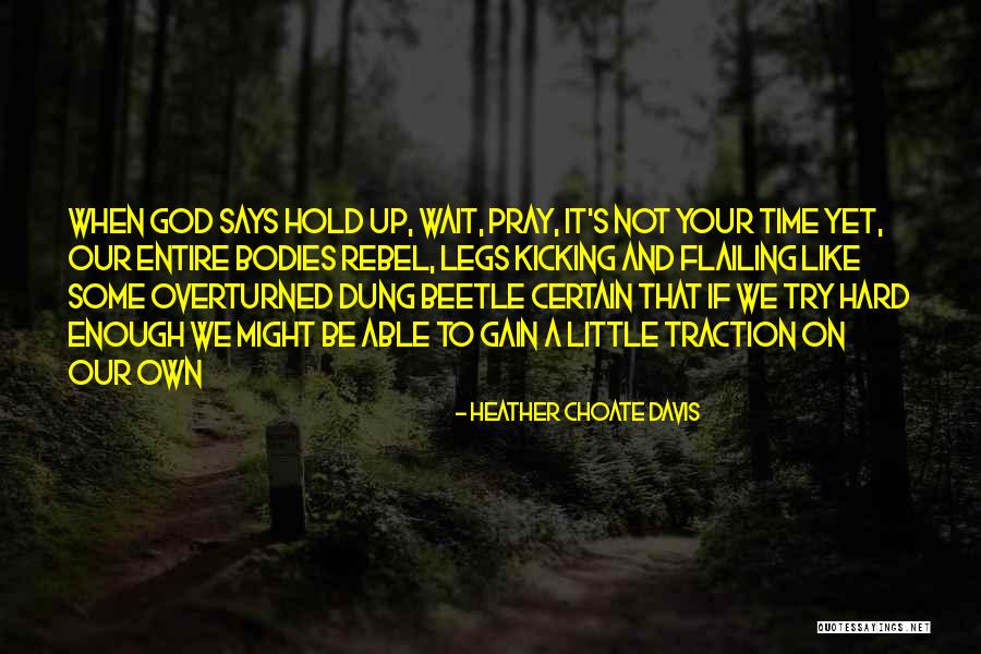 Patience Be Like Quotes By Heather Choate Davis Patience Be Like Quotes By Heather Choate Davis
