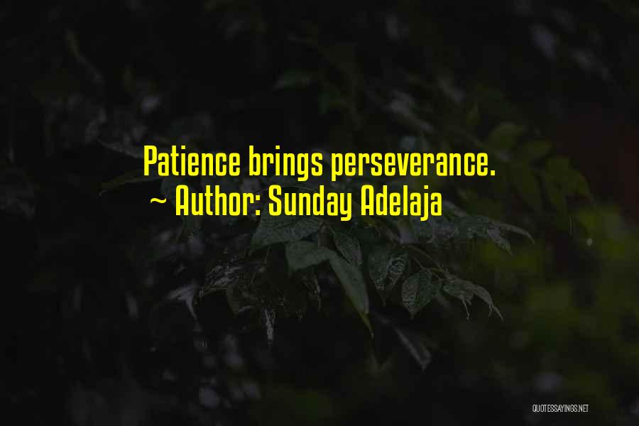 Patience Brings Quotes By Sunday Adelaja