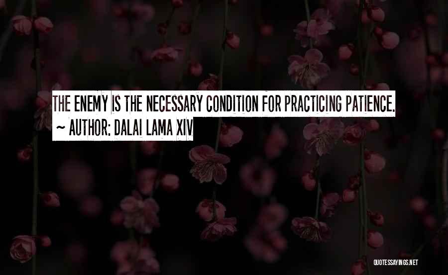 Patience For Enemy Quotes By Dalai Lama XIV