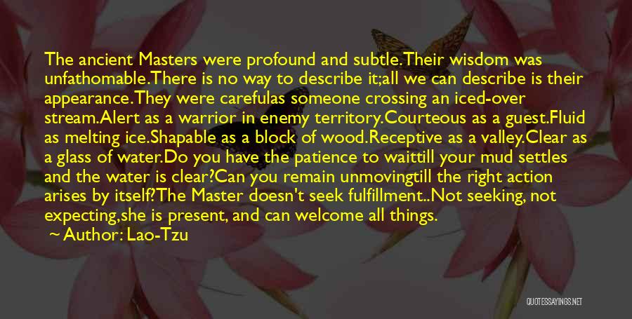 Patience For Enemy Quotes By Lao-Tzu