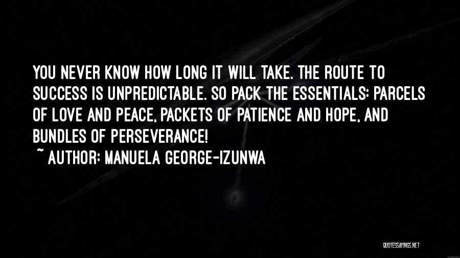 Patience For Success Quotes By Manuela George-Izunwa