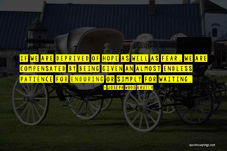 Patience Hope Quotes By Joseph Wood Krutch Patience Hope Quotes By Joseph Wood Krutch