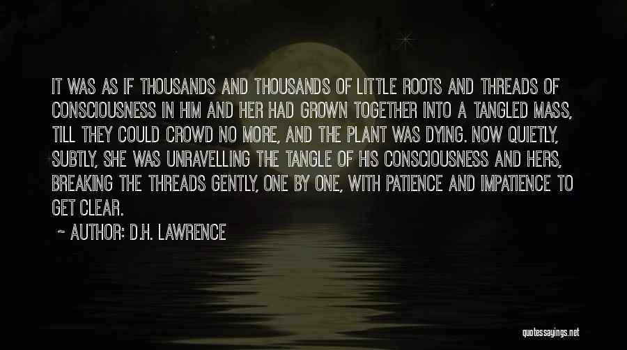 Patience Impatience Quotes By D.H. Lawrence