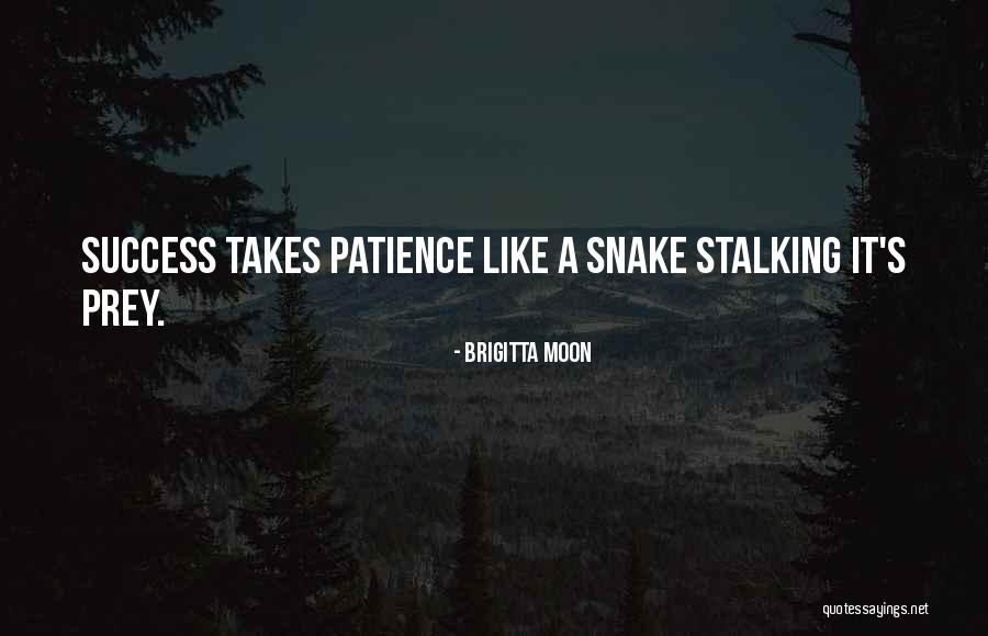 Patience In Life Quotes By Brigitta Moon Patience In Life Quotes By Brigitta Moon