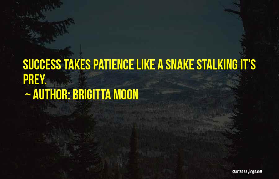 Patience In Success Quotes By Brigitta Moon