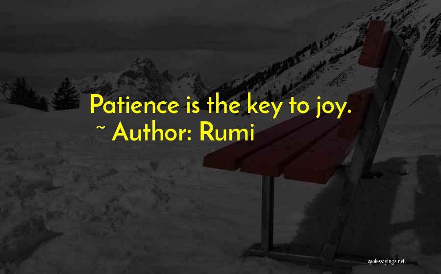 Patience Is The Key Quotes By Rumi