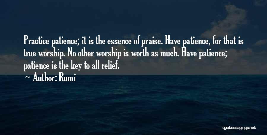 Patience Is The Key Quotes By Rumi