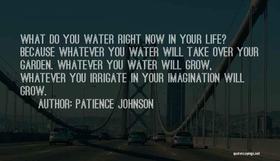 Patience Johnson Quotes 1043379