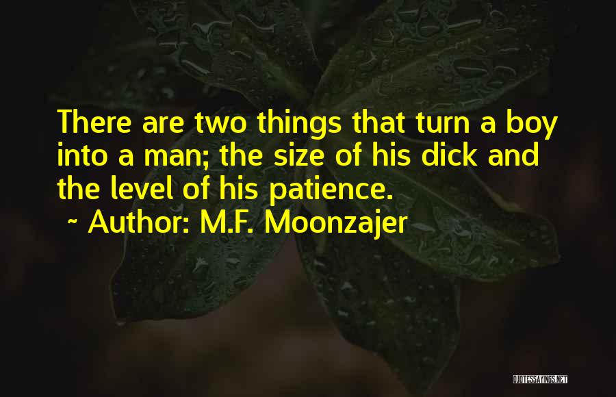 Patience Level Quotes By M.F. Moonzajer