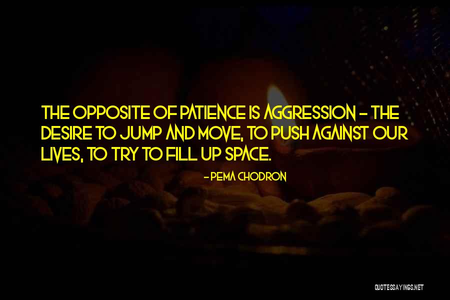 Patience Of Life Quotes By Pema Chodron Patience Of Life Quotes By Pema Chodron